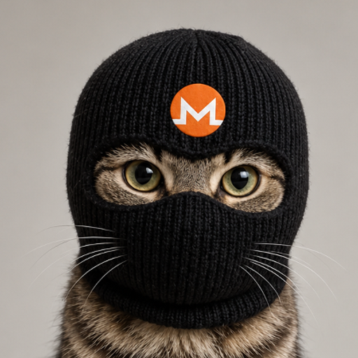 Crime Cat, a tabby in a black Monero balaclava